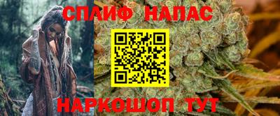 гидра Жуковский